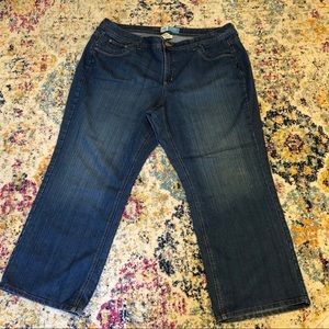 Modern Bootcut Blue Jeans Plus